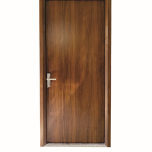 Cửa thép vân gỗ VQ-DD005